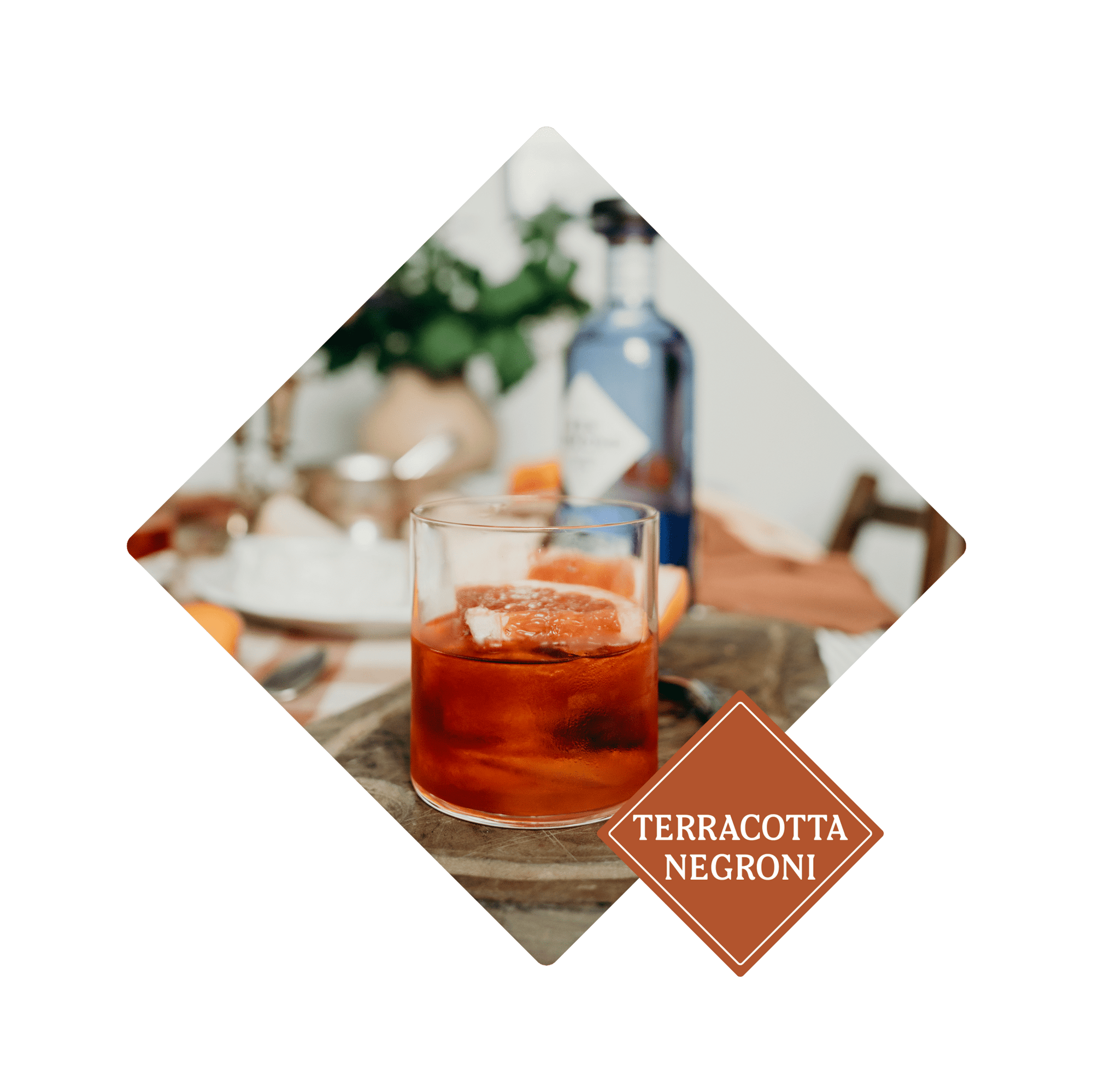 Terracotta Negroni - Ben Lomond Gin