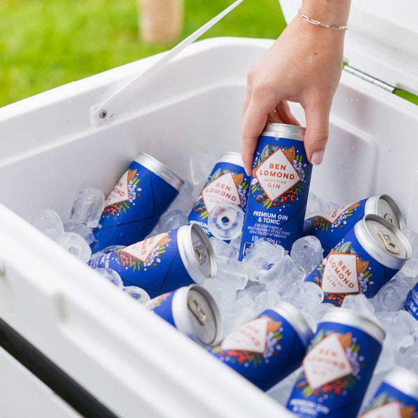 Ben Lomond Gin & Tonic Case (12 x 250ml)