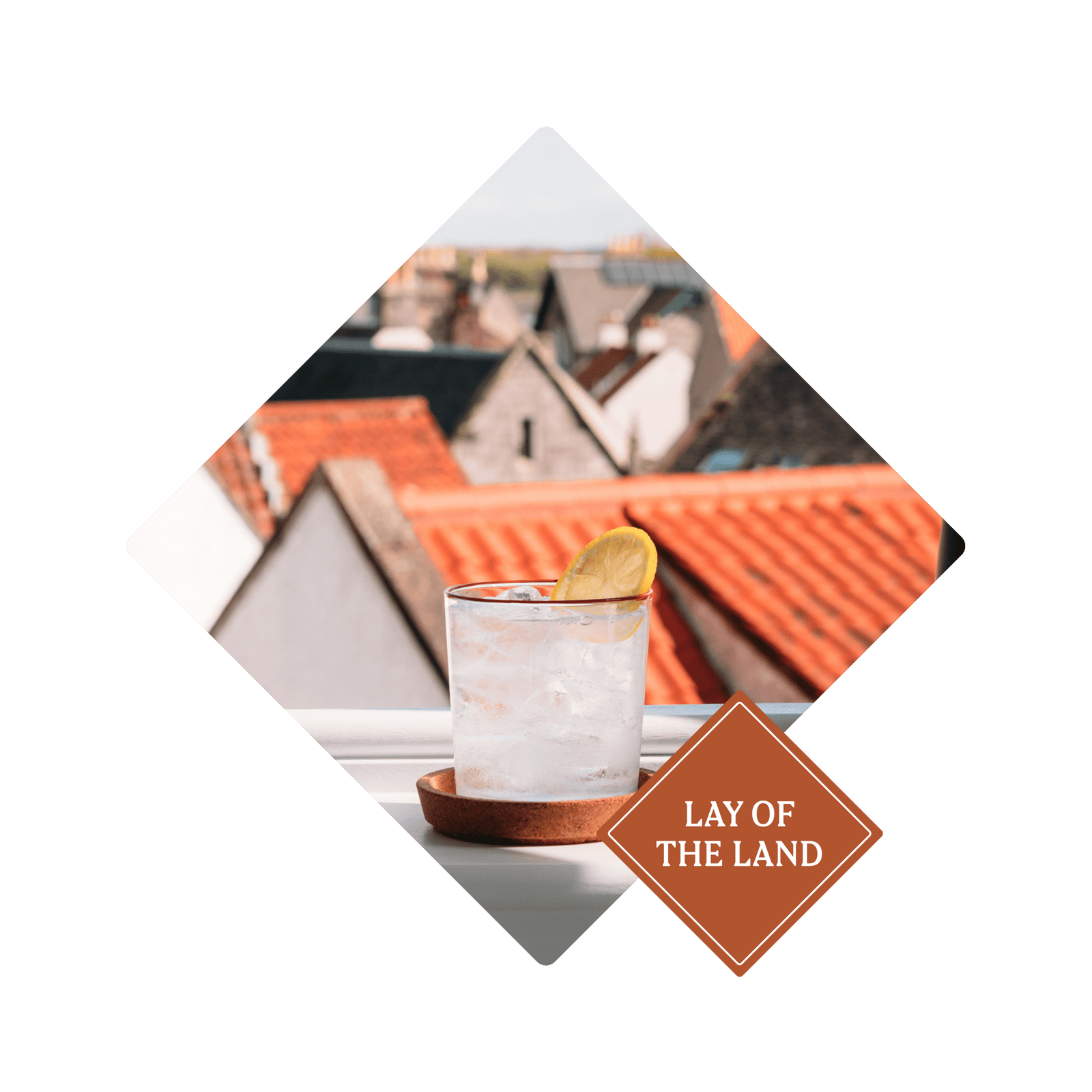 Lay of the Land - Ben Lomond Gin