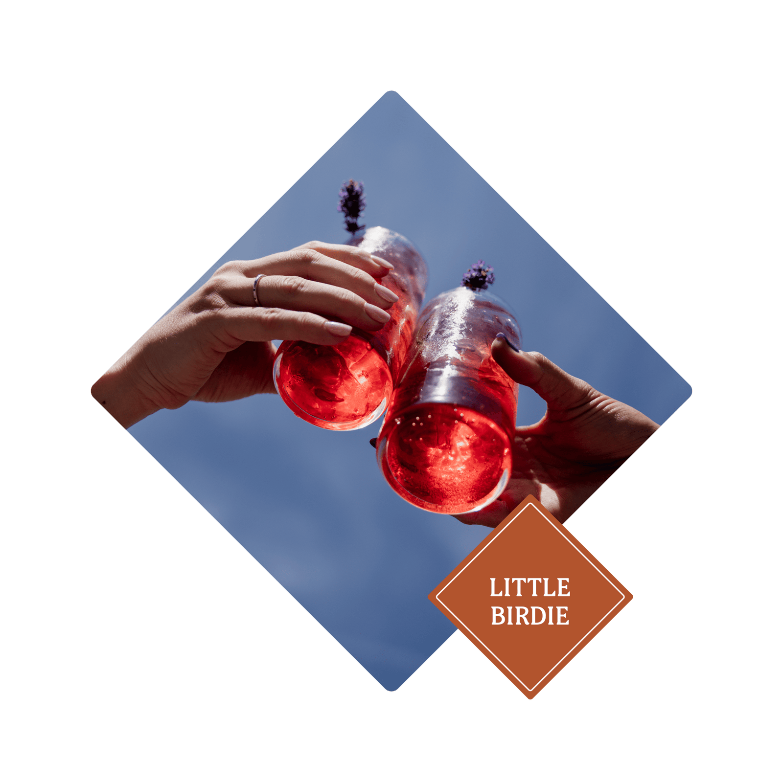 Little Birdie - Ben Lomond Gin