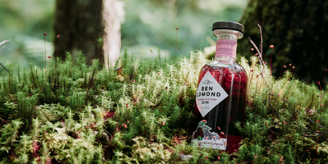 Raspberry & Elderflower Gin 