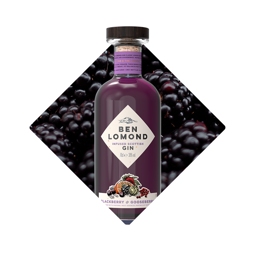Blackberry and gooseberry gin