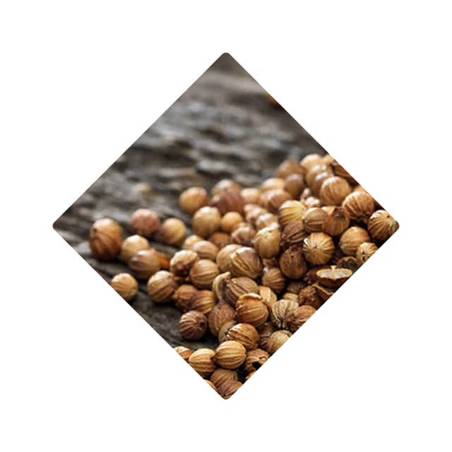 CORIANDER SEEDS