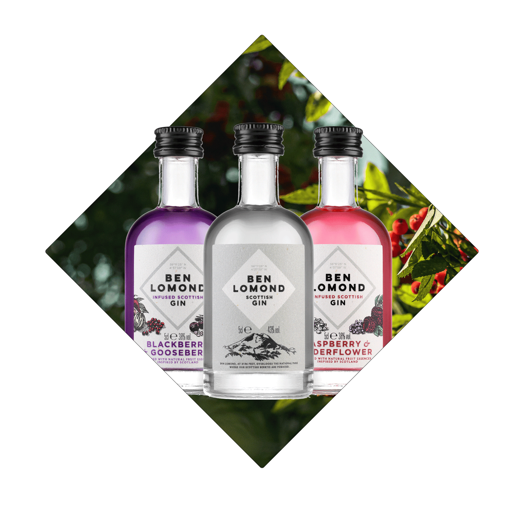 Personalised Gin Bottle Engraved Message Ben Lomond Gin