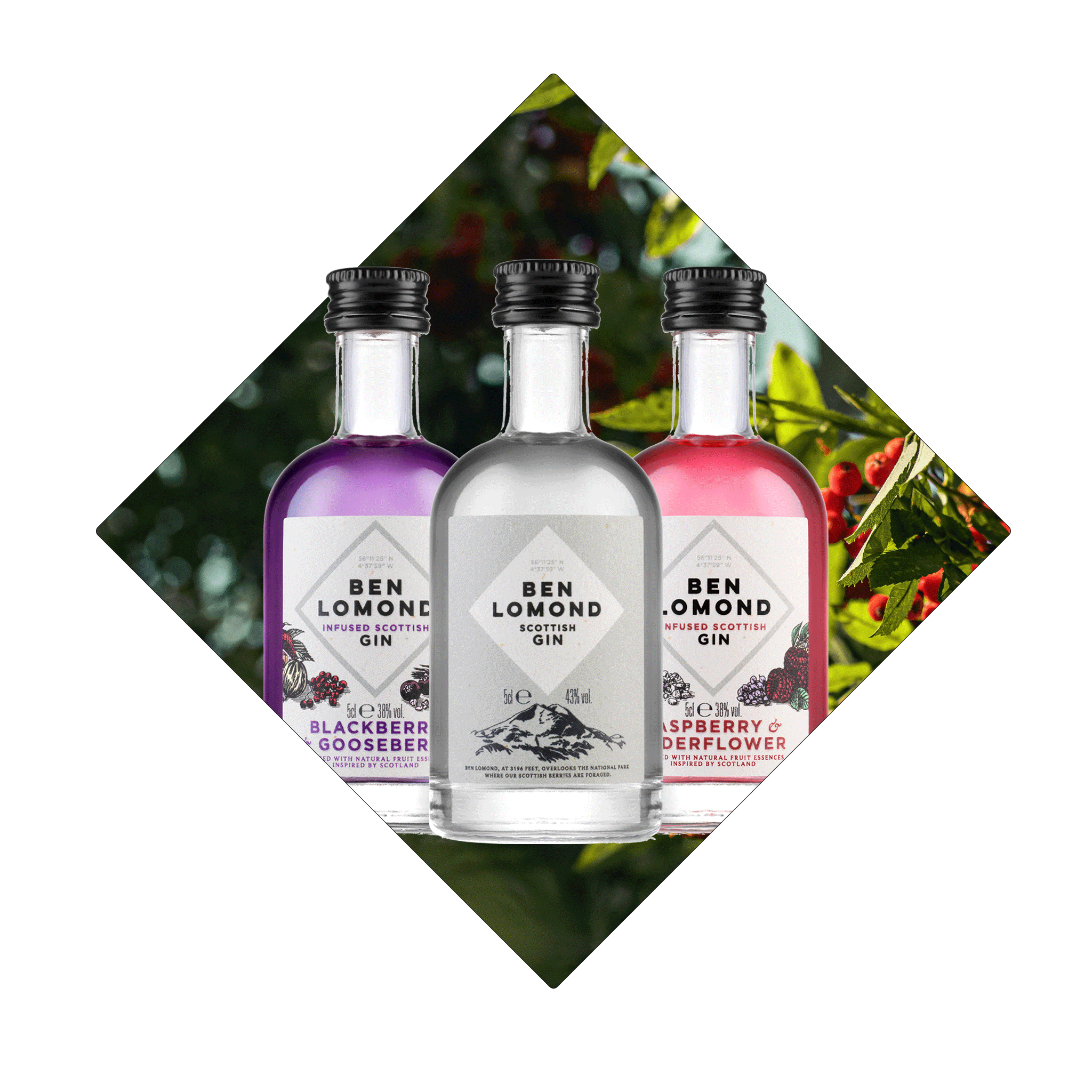 Personalised Gin Bottle Engraved Message Ben Lomond Gin