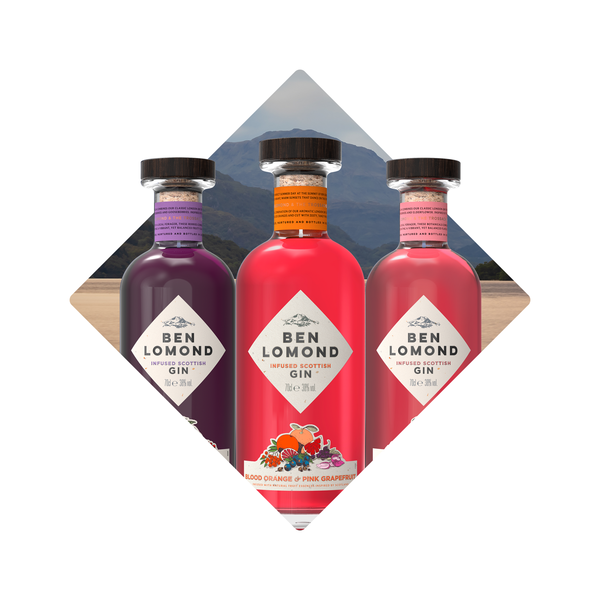 Flavoured Gin