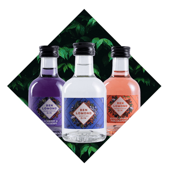 Gin Miniatures - Ben Lomond Gin